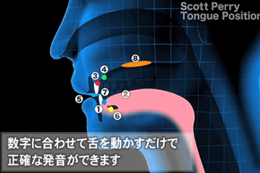 CG映像で口の中の動きまで丸わかり　ネイティブスピーク