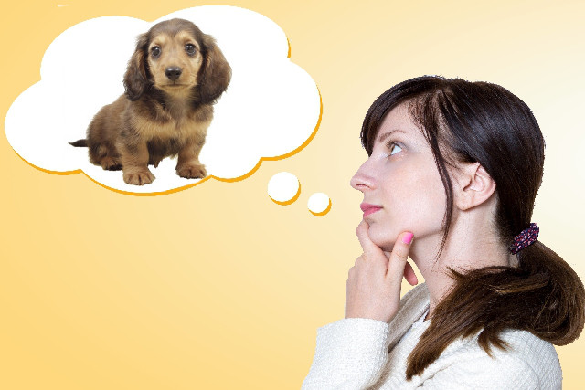 英語をイメージで覚える　Dogと聞いたら犬の絵が思い浮かぶ状態